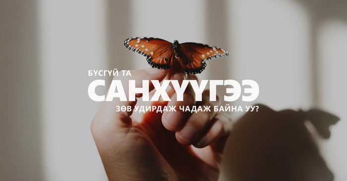 Санхүүгээ ухаалгаар удирдах нь